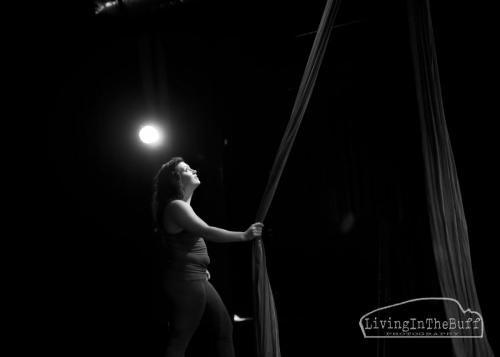Aerial Showcase D750 226 -1-11-20-2017-00-25 AM