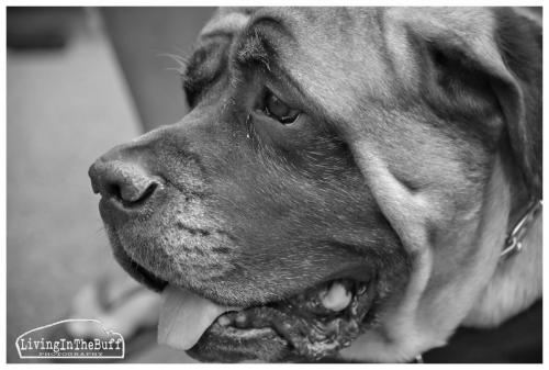 MIA D750 569 -1sm