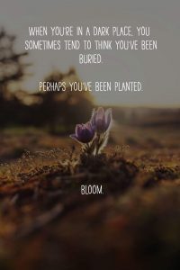 You've been planted. BOOM!
