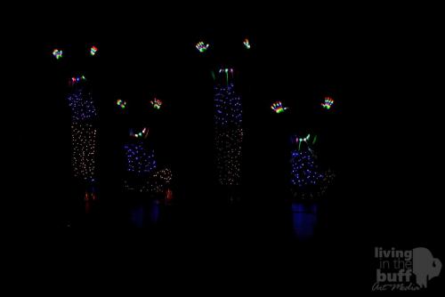 TidingsOfTap -12-11-2017-02-38 PM-30